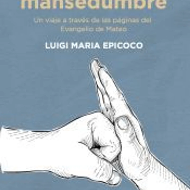 La fuerza de la masedumbre: un viaje a través de las páginas del Evangelio de Mateo 1