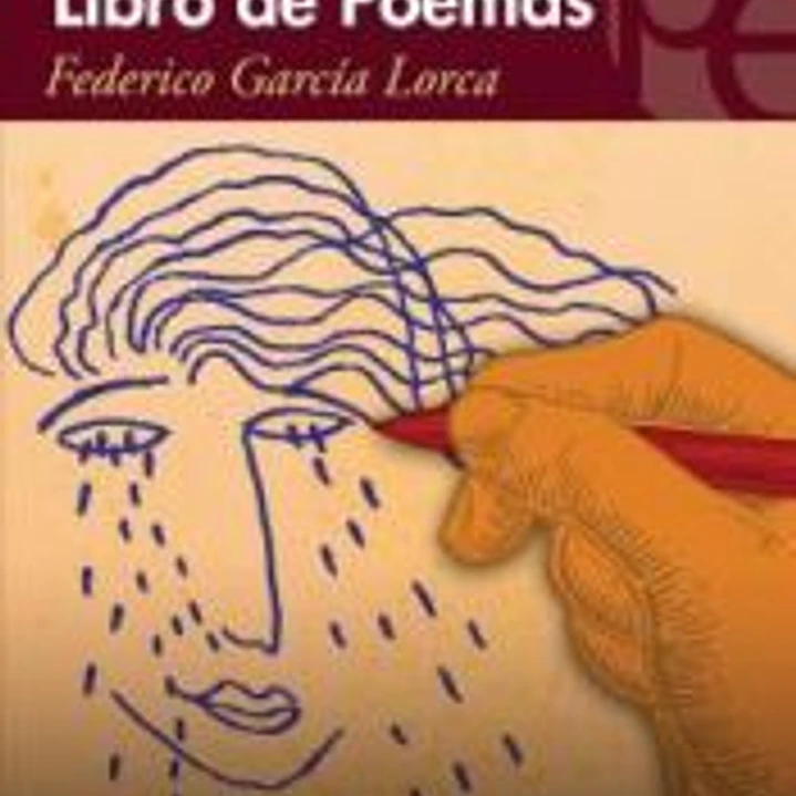 LIBRO DE POEMAS 1