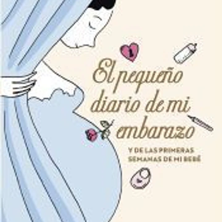 El pequeño diario de mi embarazo 1