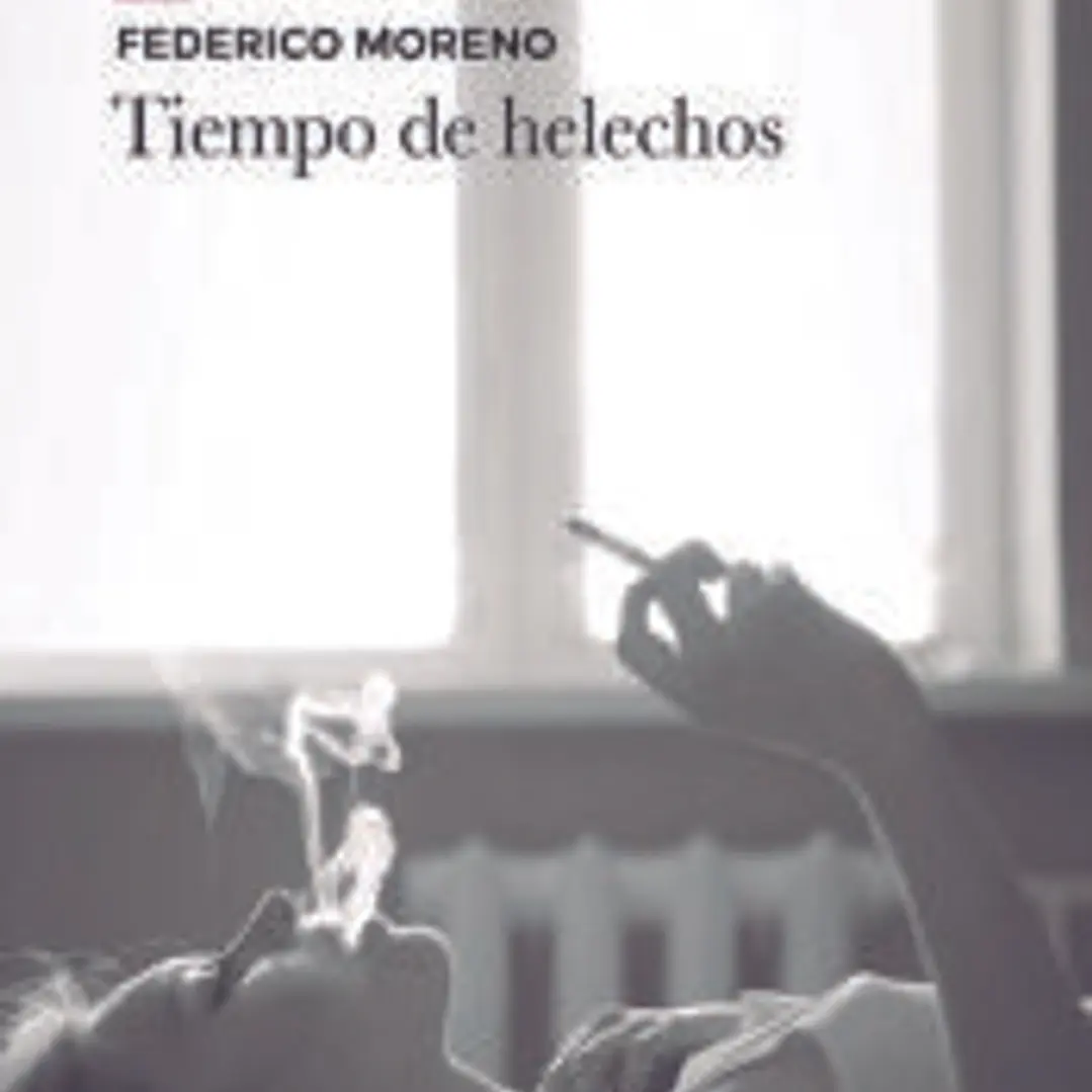 Tiempo de helechos 1