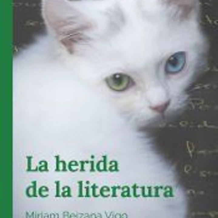La herida de la literatura 1