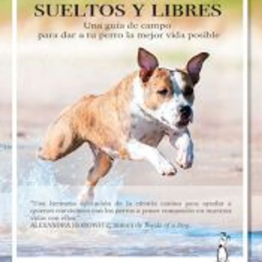 Perros sueltos y libres 1