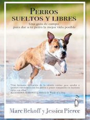 Perros sueltos y libres