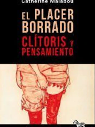 EL PLACER BORRADO 