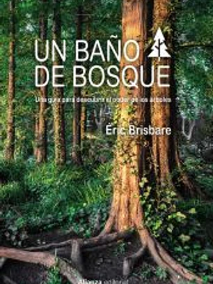 Un baño de bosque