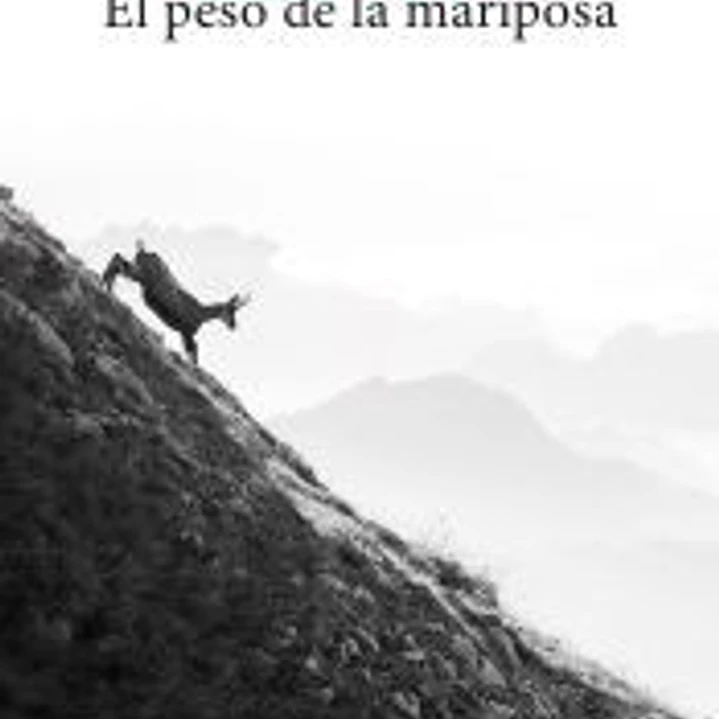 El peso de la mariposa 1
