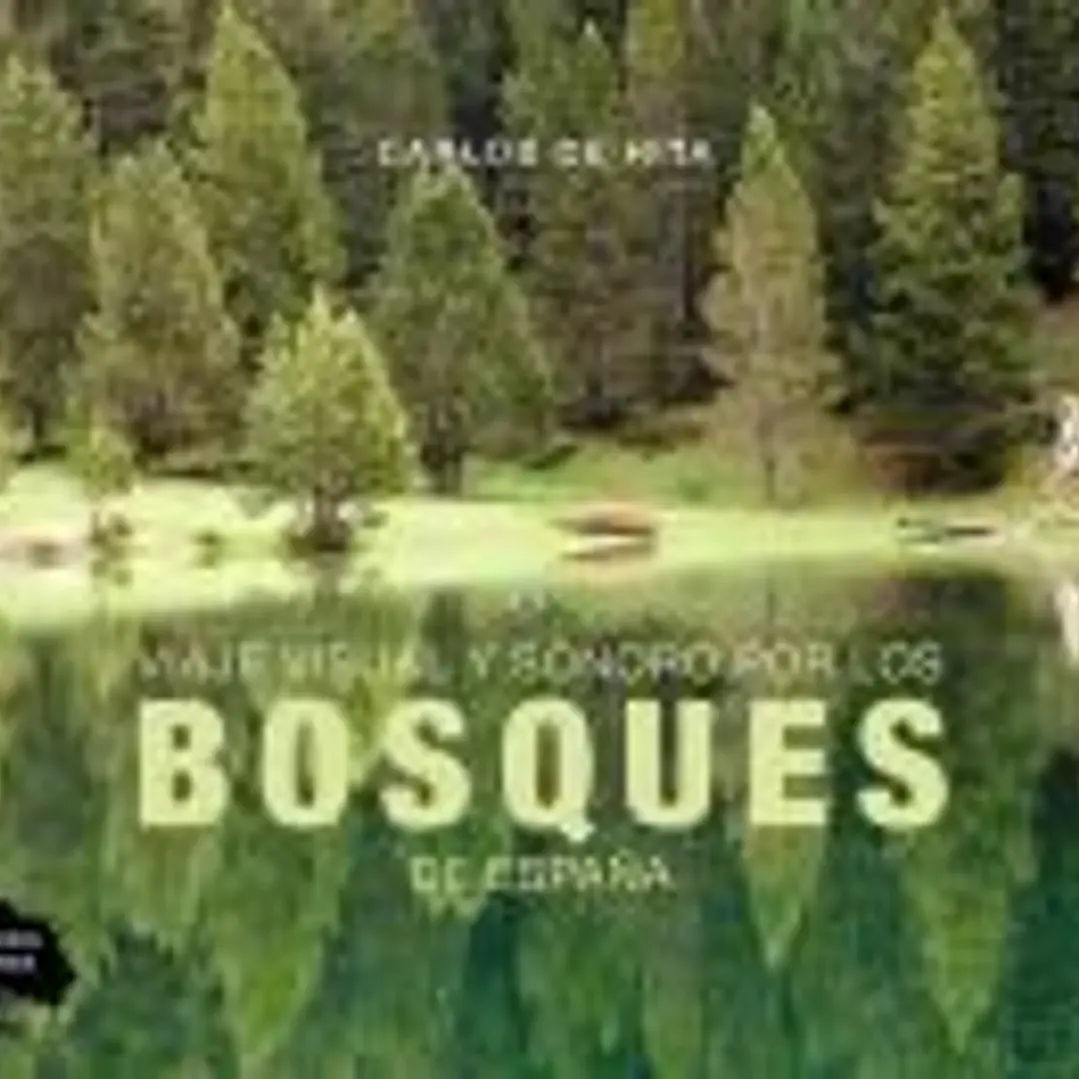 Viaje visual y sonoro por los bosques de España 1