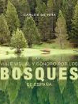 Viaje visual y sonoro por los bosques de España