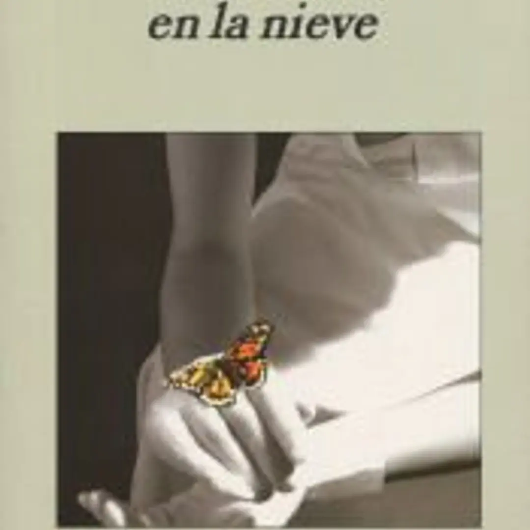 Mariposas en la nieve 1