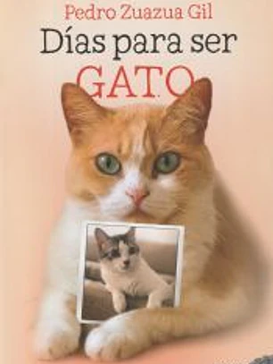 Días para ser gato