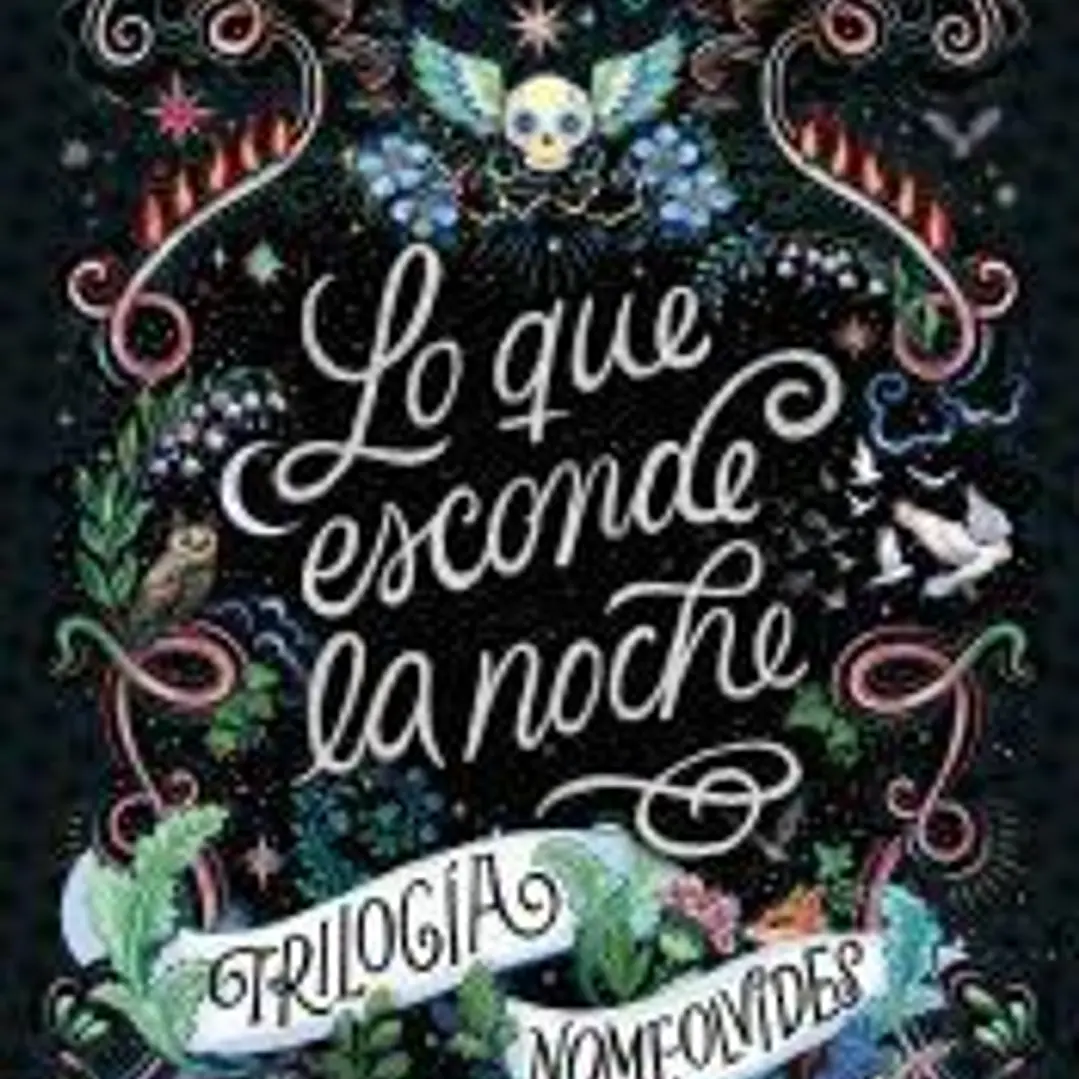 Lo que esconde la noche (Trilogía Nomeolvides 1) 1