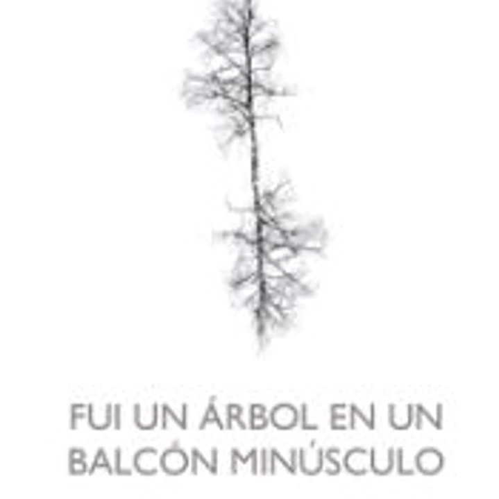 FUI UN ARBOL EN UN BALCON MINUSCULO 1