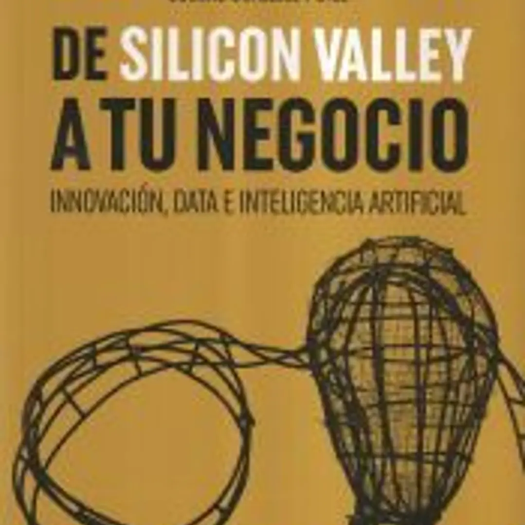DE SILICON VALLEY A TU NEGOCIO 1