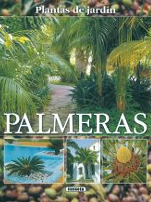 Plantas De Jardín. Palmeras