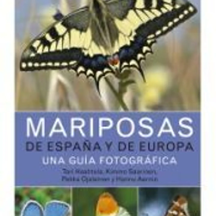 Mariposas de España y Europa 1