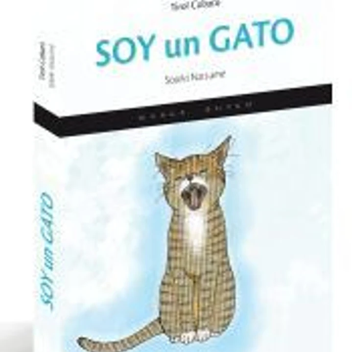 Soy un gato 1
