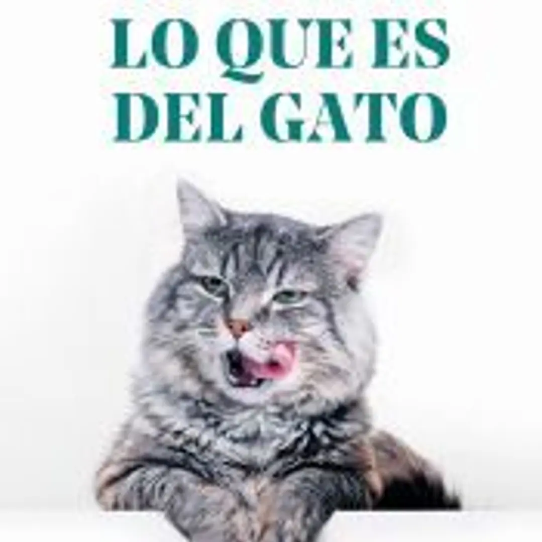 Al gato lo que es del gato 1