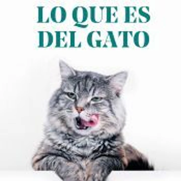 Al gato lo que es del gato 1