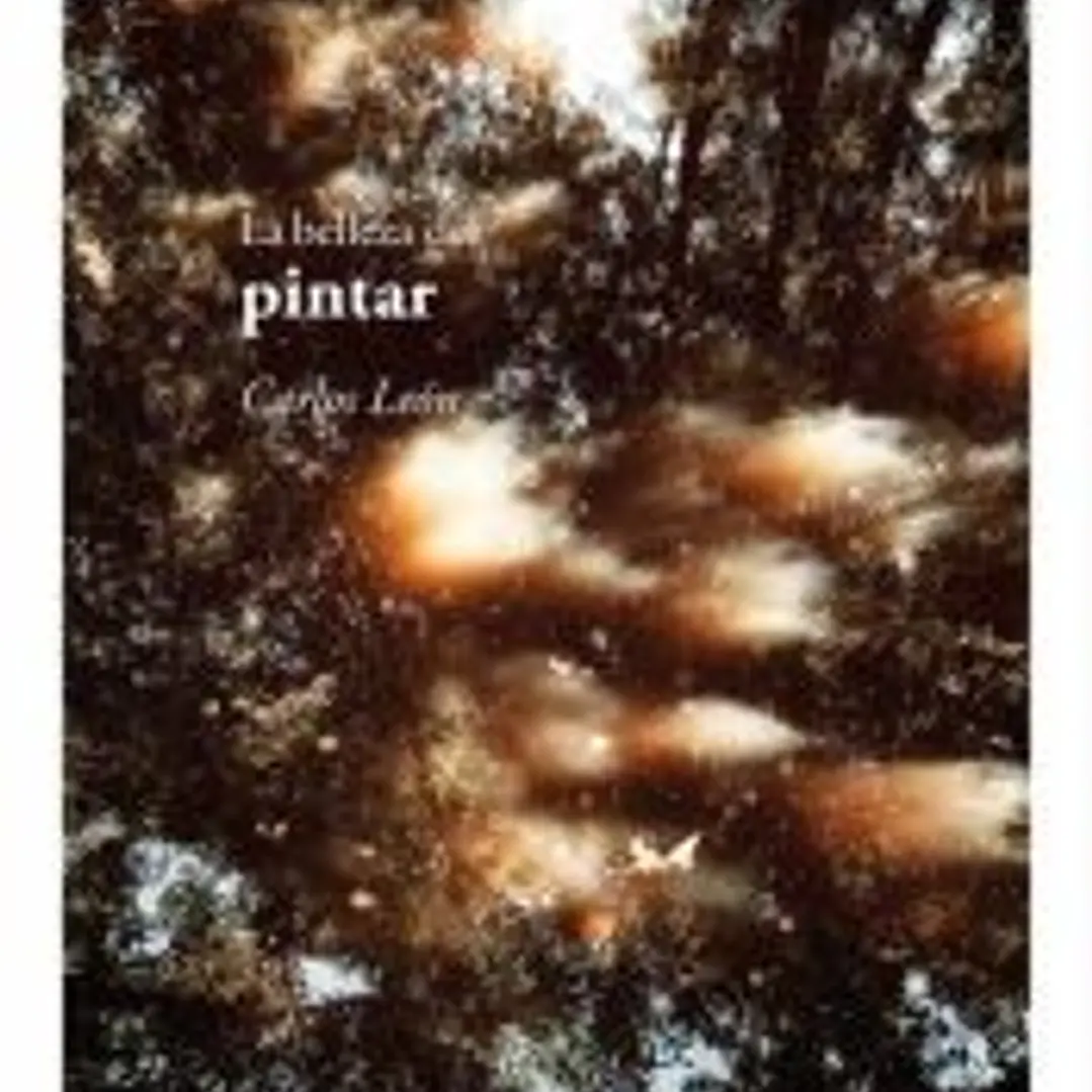 La belleza del pintar 1