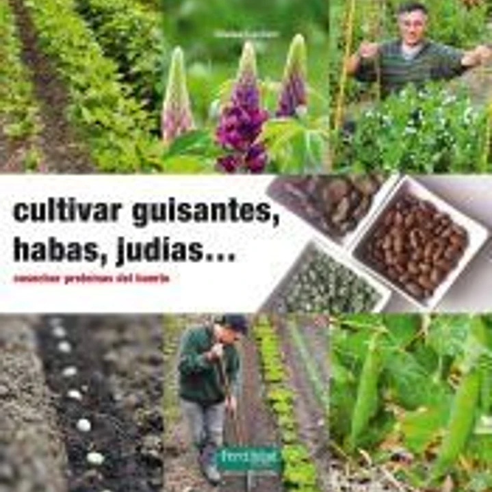 Cultivar guisantes, habas, judías... 1