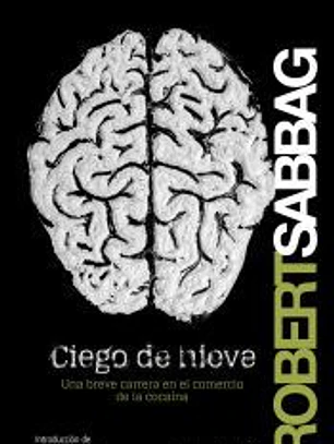 CIEGO DE NIEVE