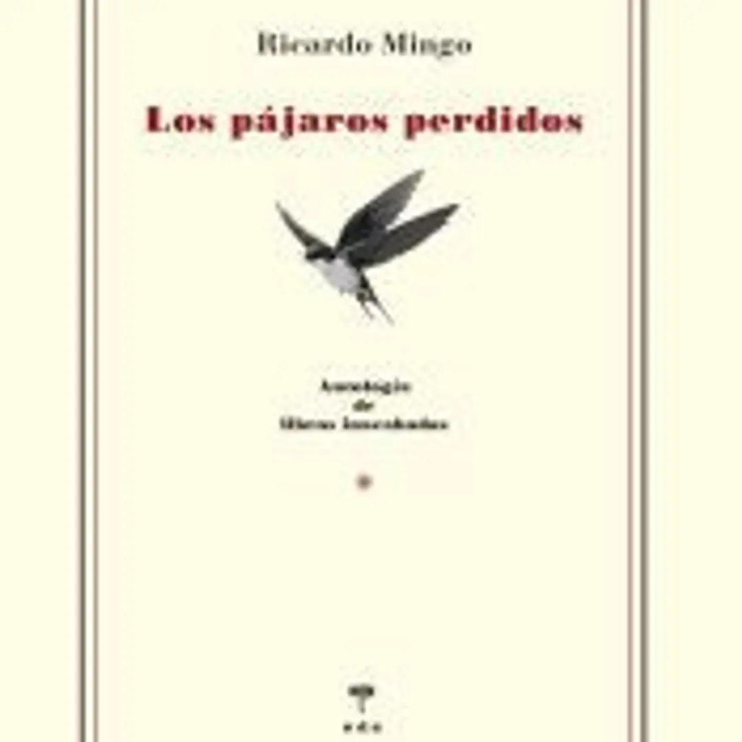 Los pájaros perdidos 1