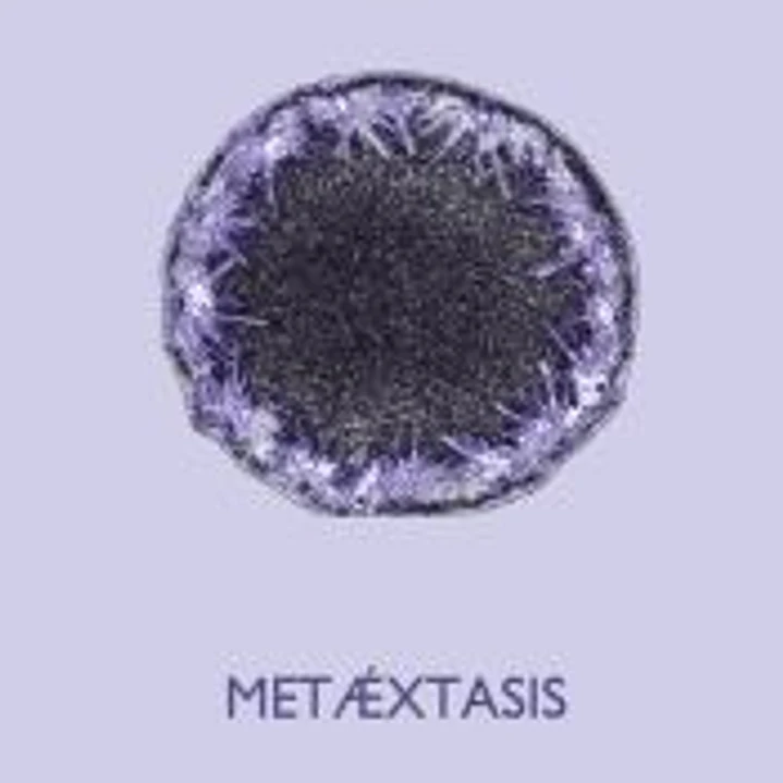 METAÉXTASIS 1