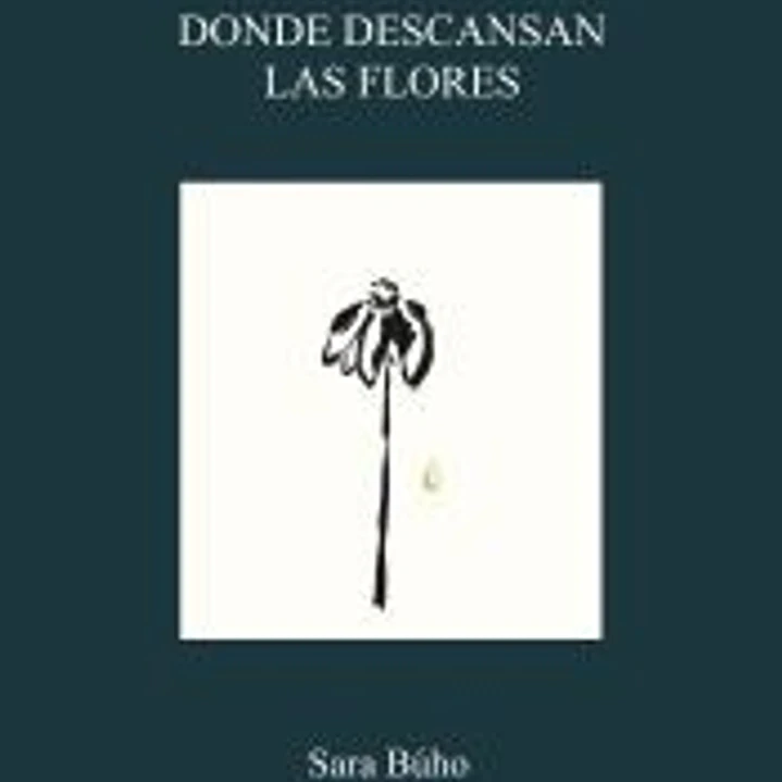 Donde descansan las flores 1