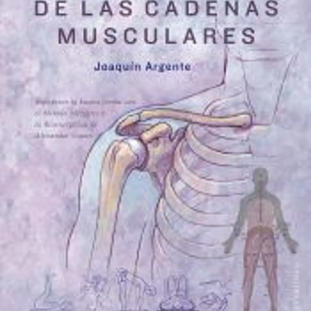 Estiramientos de las cadenas musculares 1