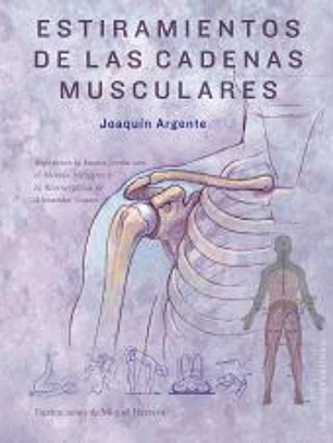 Estiramientos de las cadenas musculares