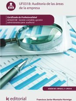 Auditoría de las áreas de la empresa. ADGD0108 - Gestión contable y gestión administrativa para auditorías