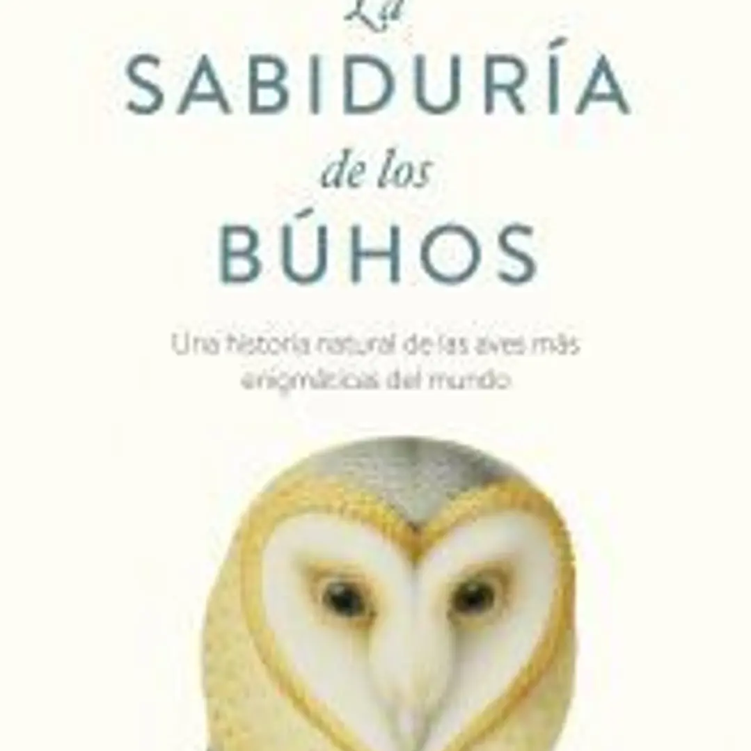 La sabiduría de los búhos 1