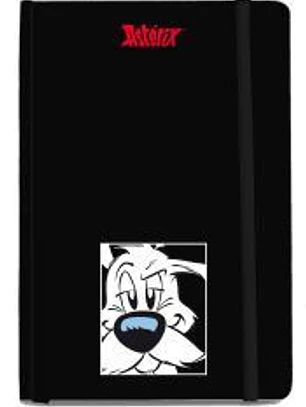 CUADERNO GRANDE ASTERIX IDEFIX