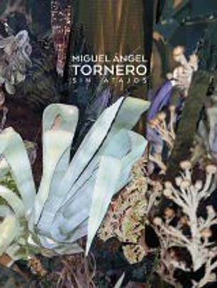 Sin Atajos. Miguel Ángel Tornero
