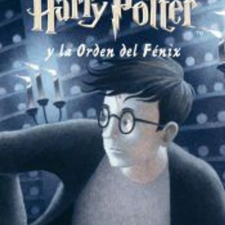 HARRY POTTER Y LA ORDEN DEL FÉNIX 1