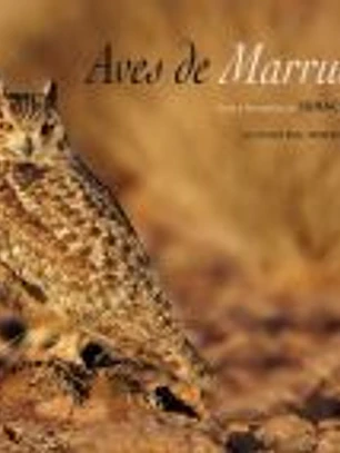 Aves de Marruecos