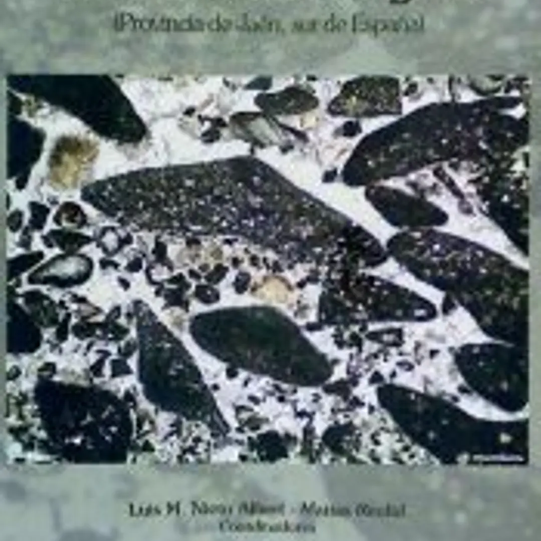 El mesozoico del Prebético de la Sierra de Segura (Provincia de Jaén, sur de España) 1