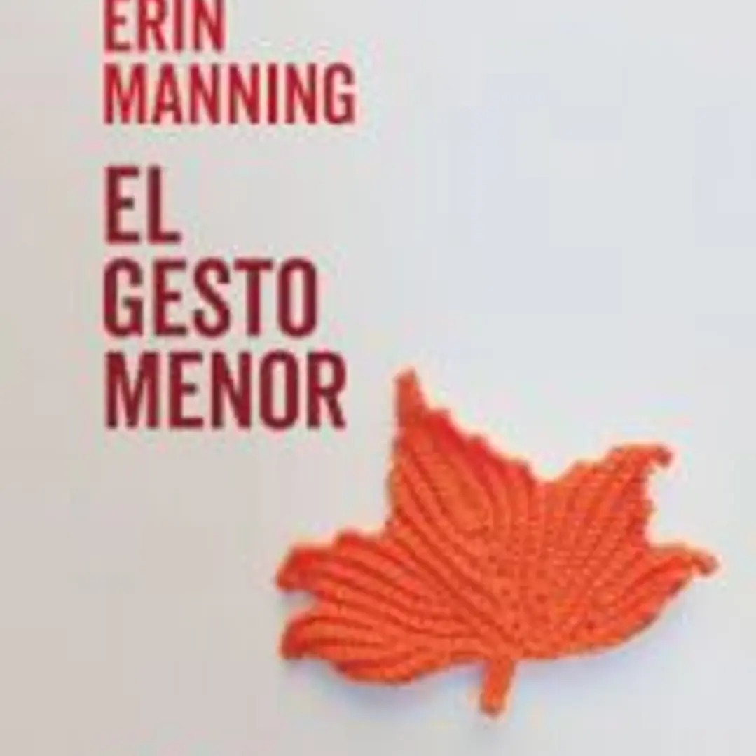 El gesto menor 1