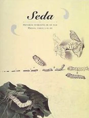 Seda. Historias Pendientes de Un Hilo. Murcia, Siglos X Al Xxi