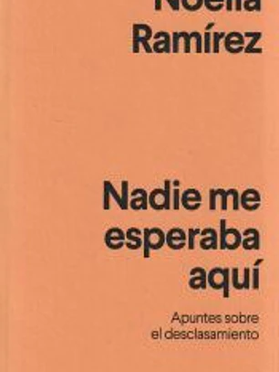 Nadie me esperaba aquí