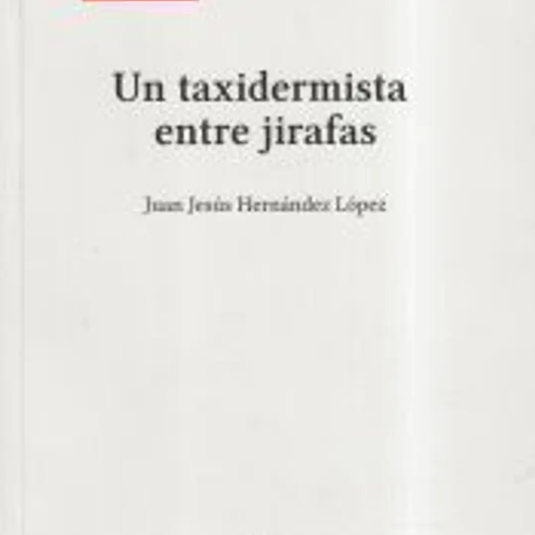 Un taxidermista entre jirafas 1