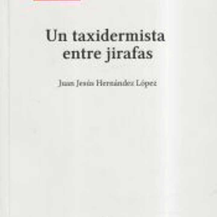 Un taxidermista entre jirafas 1