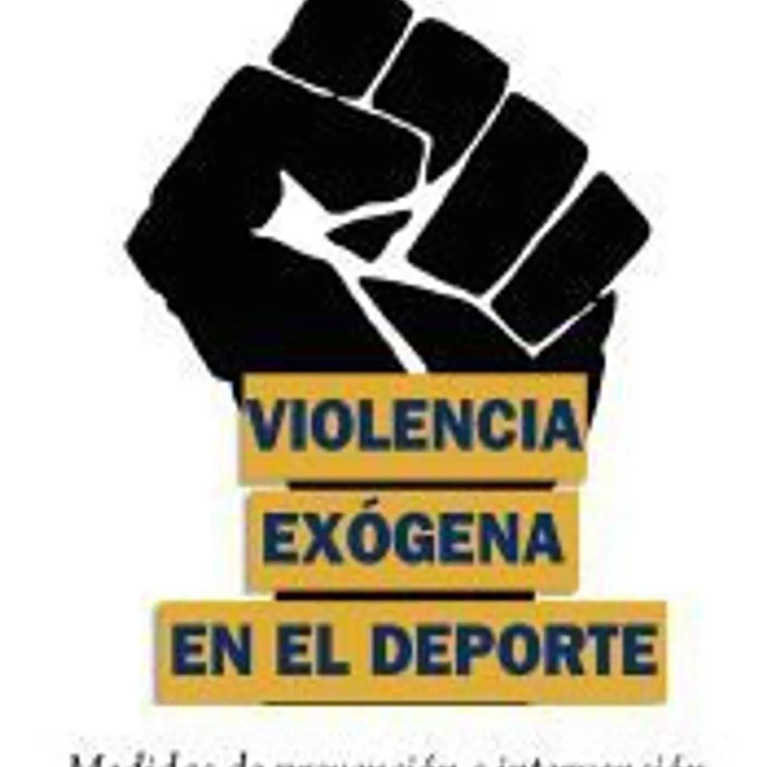 Violencia exógena en el deporte 1