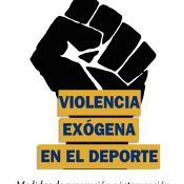 Violencia exógena en el deporte 1