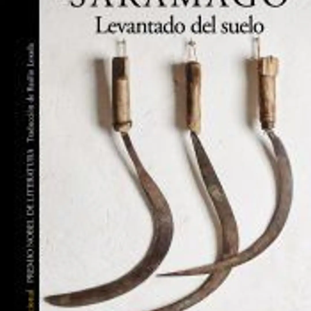 Levantado del suelo 1