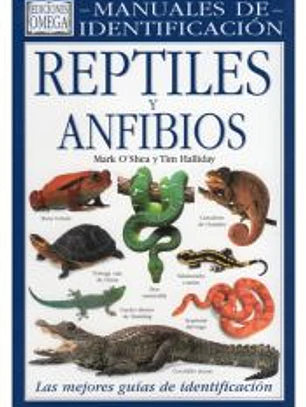 REPTILES Y ANFIBIOS