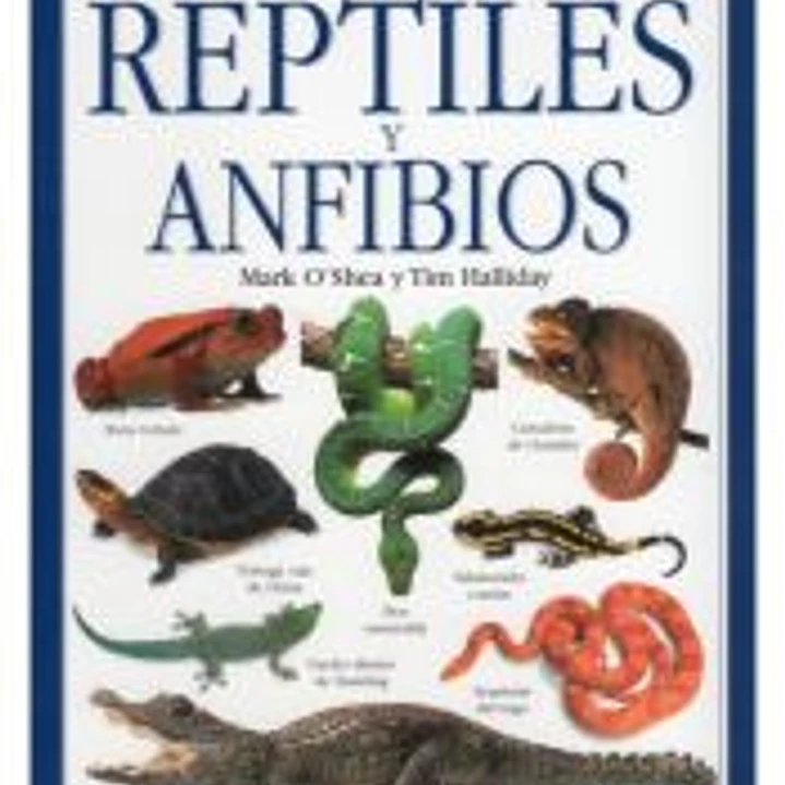 REPTILES Y ANFIBIOS 1