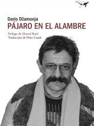Pájaro en el alambre
