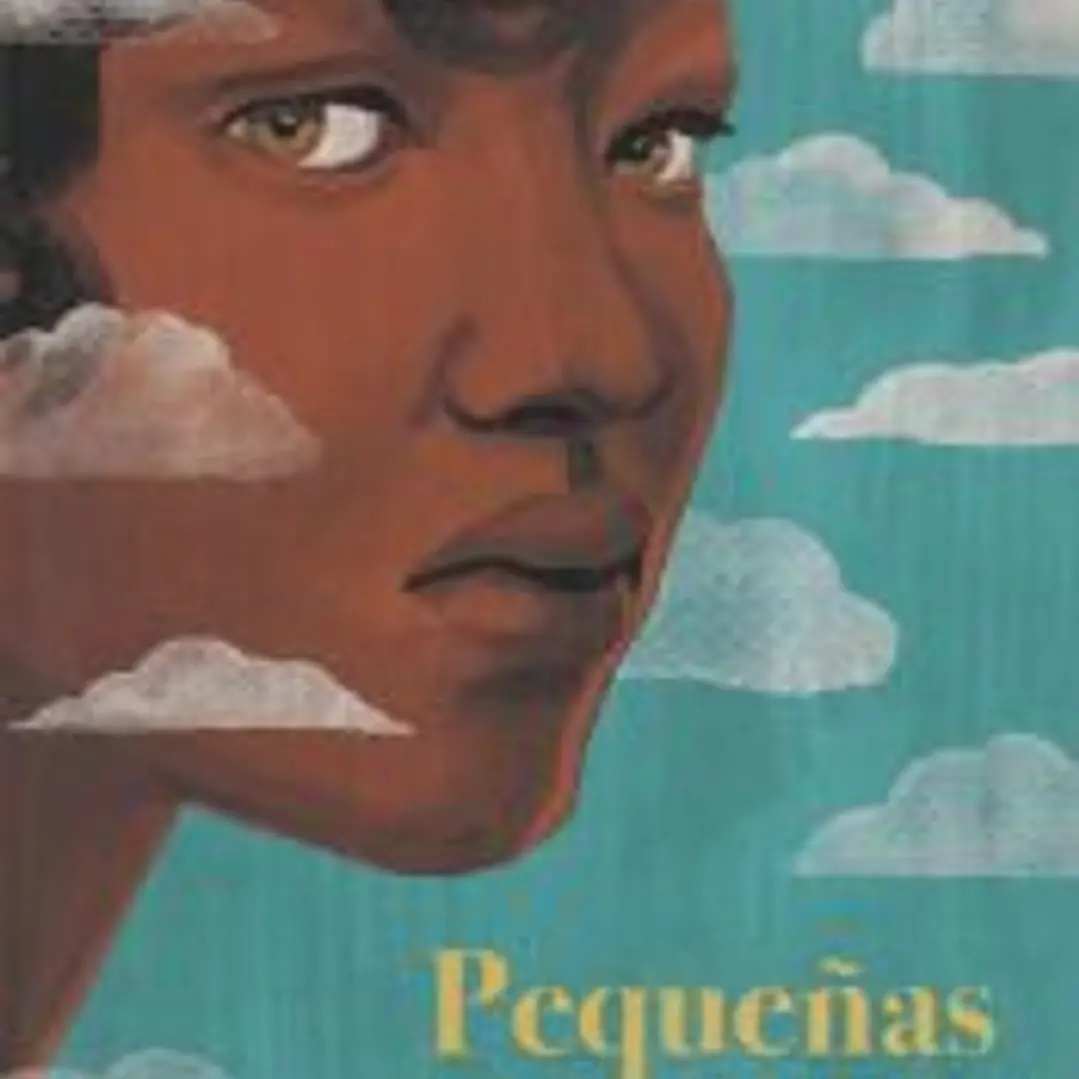 Pequeñas grandes cosas 1