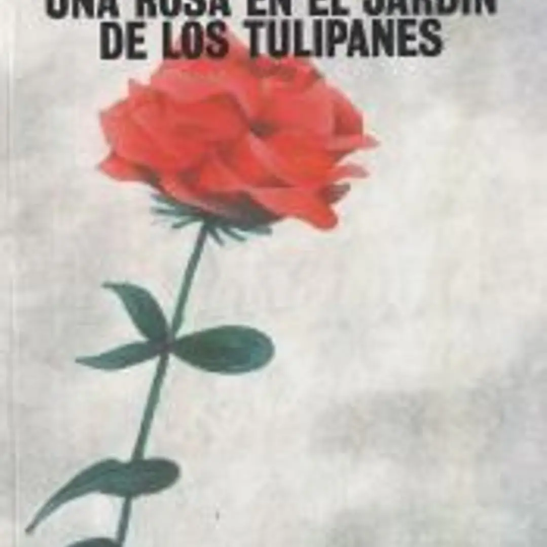 UNA ROSA EN EL JARDÍN DE LOS TULIPANES 1